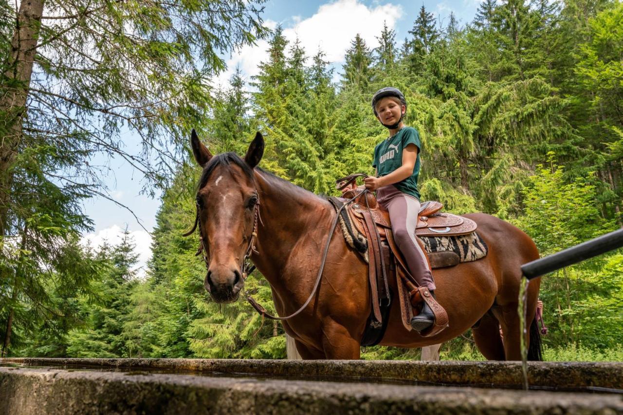 Apart Garni Montana Пертизау Екстериор снимка
